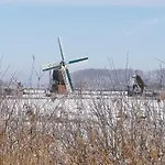 Strobels