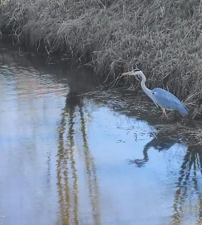 Strobels * Bedekaspel