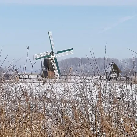 Strobels